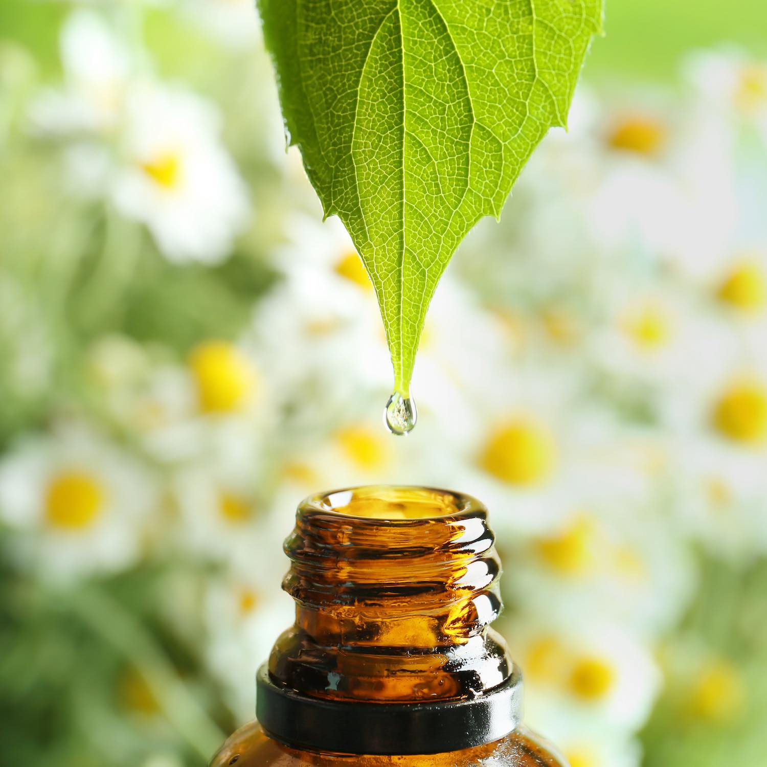 Aromatherapie-pharmacie-sainte-anne-les-herbiers